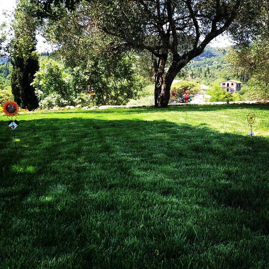 Modern Eco Friendly Villa Close To Town Pelekas Extérieur photo